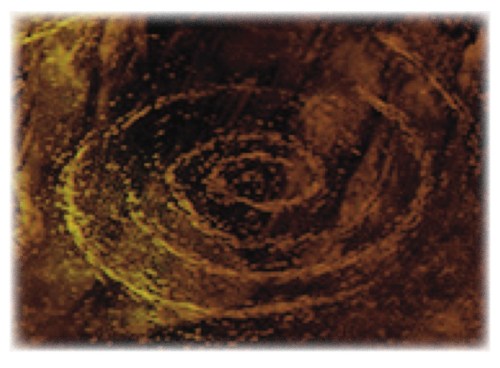 golden spiral raglan road