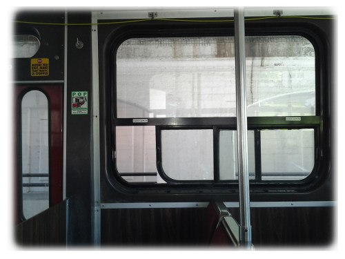 afternoon in paradise 1