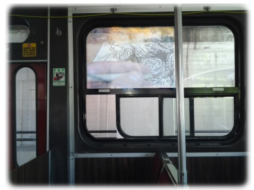 afternoon in paradise 3