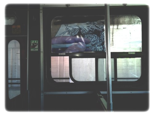 afternoon in paradise 4.