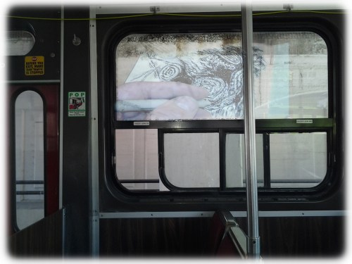 afternoon in paradise 7