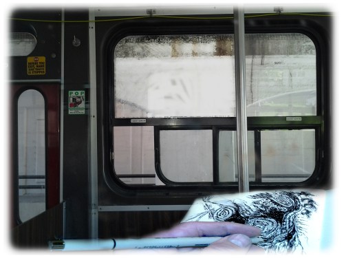 afternoon in paradise 9