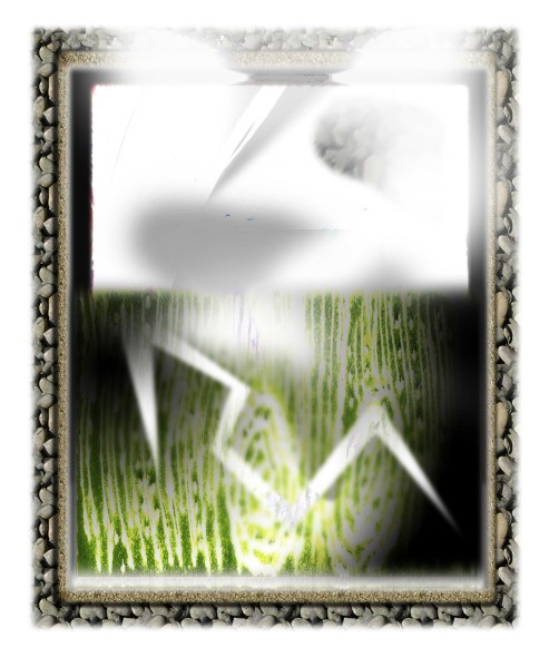 10. An ideology that took root