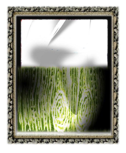 2. An ideology that took root