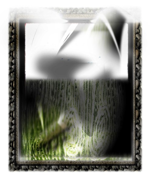 28. An ideology that took root