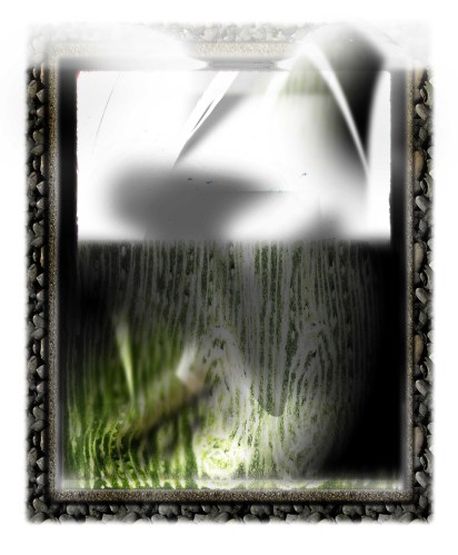 28. An ideology that took root