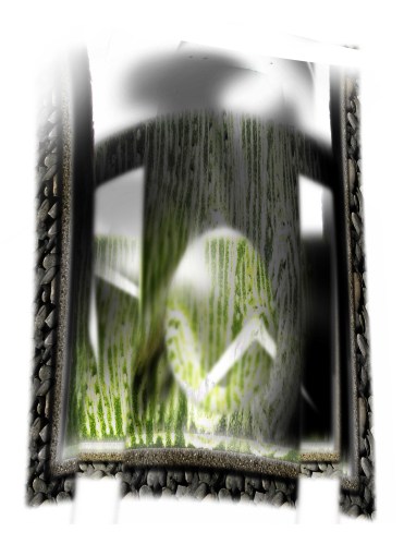 31. An ideology that took root